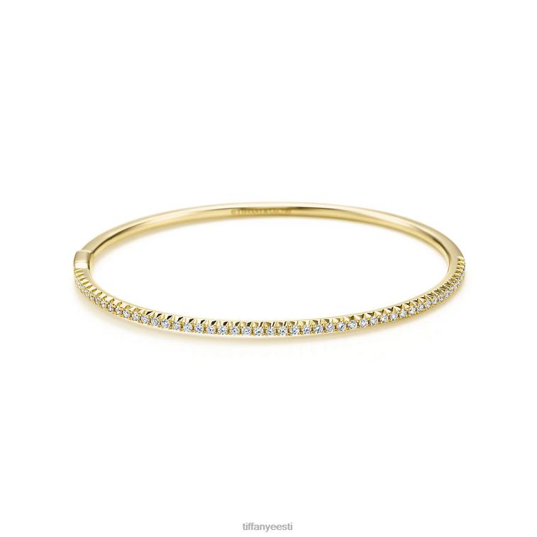 ehted unisex Tiffany FZP8X1049 hingedega käevõru