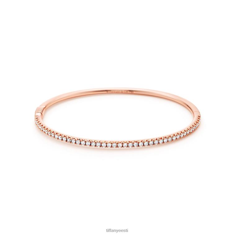 ehted unisex Tiffany FZP8X1050 hingedega käevõru