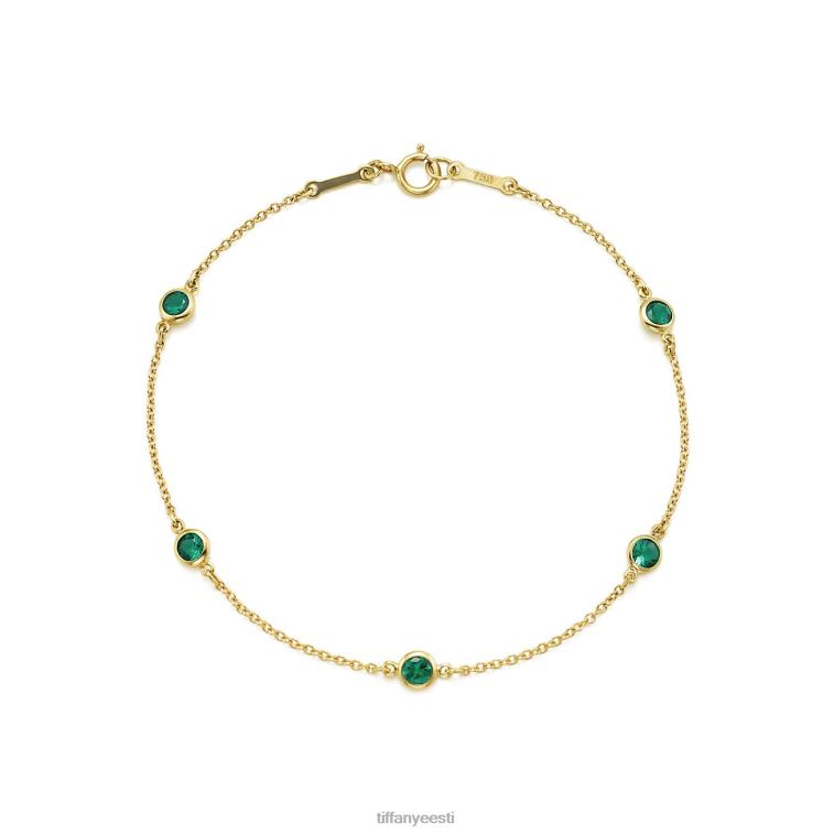 ehted unisex Tiffany FZP8X1064 värvi õue käevõru juures