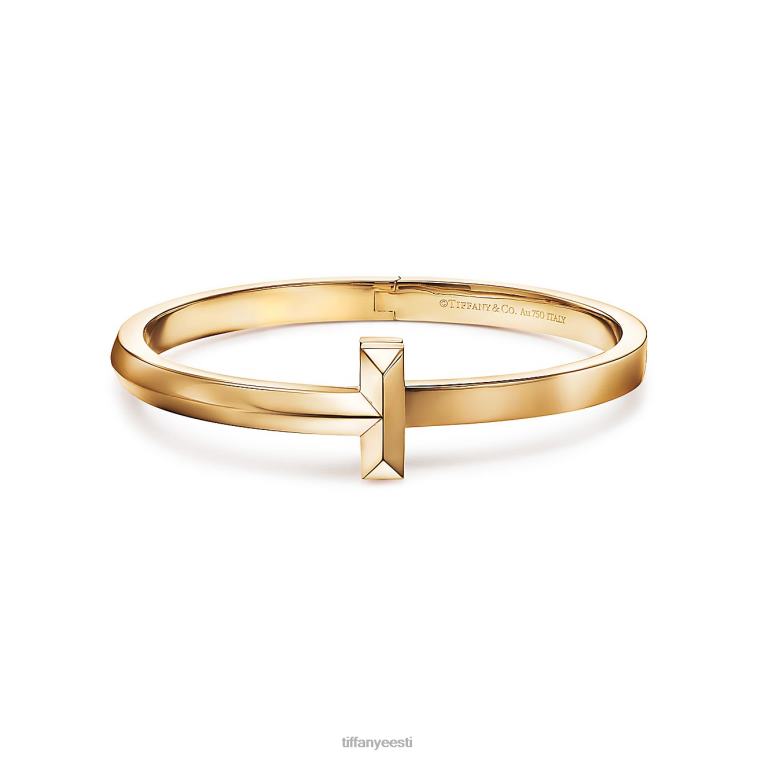 ehted unisex Tiffany FZP8X1073 t1 lai hingedega käevõru