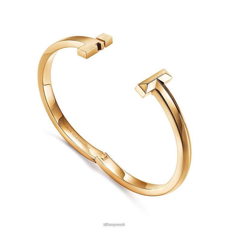 ehted unisex Tiffany FZP8X1073 t1 lai hingedega käevõru