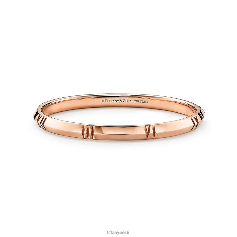 ehted unisex Tiffany FZP8X1079 x suletud kitsas hingedega käevõru