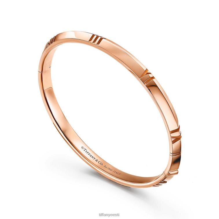 ehted unisex Tiffany FZP8X1079 x suletud kitsas hingedega käevõru