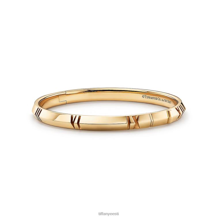 ehted unisex Tiffany FZP8X1080 x suletud kitsas hingedega käevõru