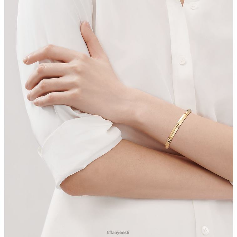 ehted unisex Tiffany FZP8X1080 x suletud kitsas hingedega käevõru