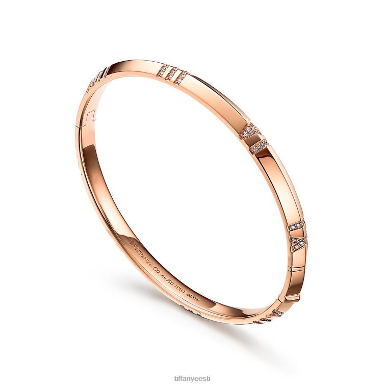 ehted unisex Tiffany FZP8X1119 x suletud kitsas hingedega käevõru