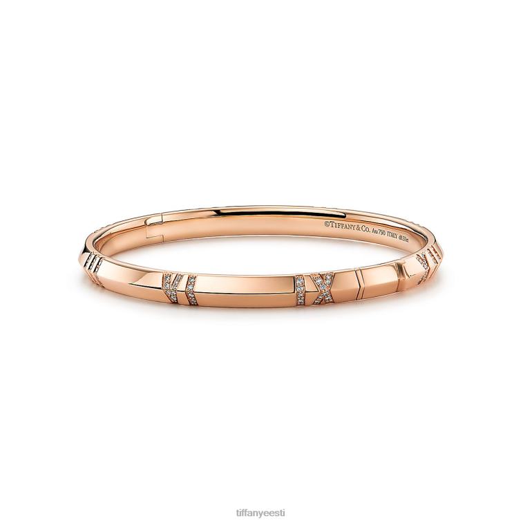 ehted unisex Tiffany FZP8X1119 x suletud kitsas hingedega käevõru