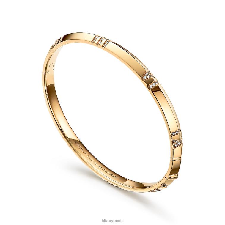 ehted unisex Tiffany FZP8X1223 x suletud kitsas hingedega käevõru