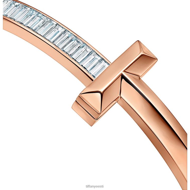 ehted unisex Tiffany FZP8X1227 t1 lai hingedega käevõru