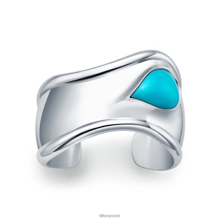 hõbedast türkiisiga