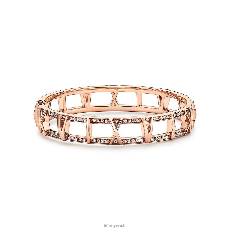 ehted unisex Tiffany FZP8X1314 x avatud hingedega käevõru