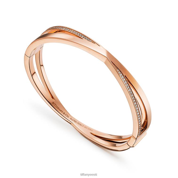 ehted unisex Tiffany FZP8X1329 x kitsas hingedega käevõru