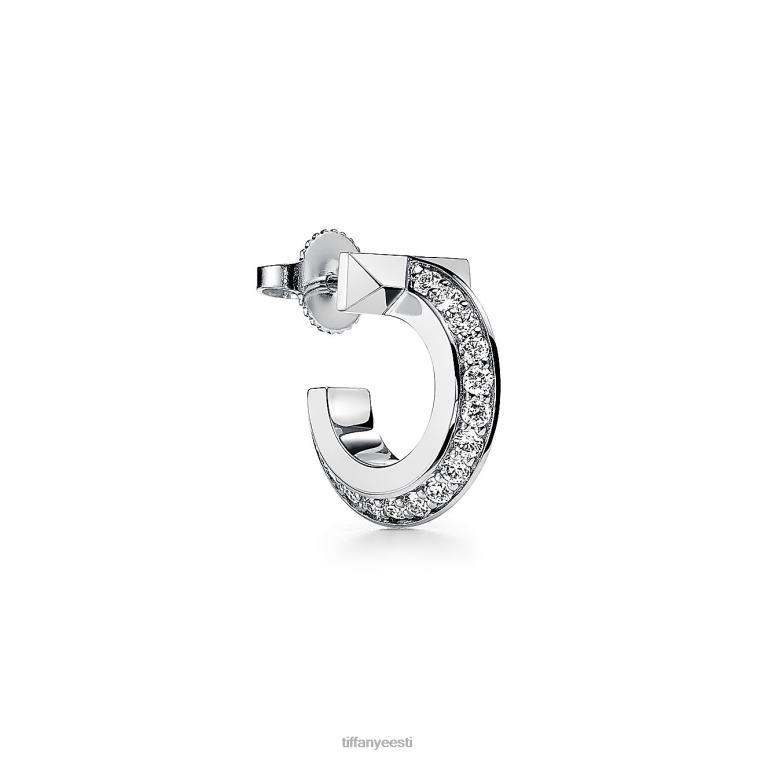 ehted unisex Tiffany FZP8X698 t1 rõngaga kõrvarõngad