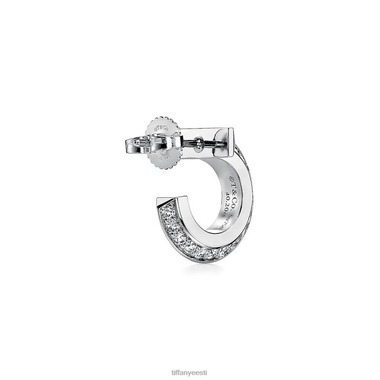ehted unisex Tiffany FZP8X698 t1 rõngaga kõrvarõngad