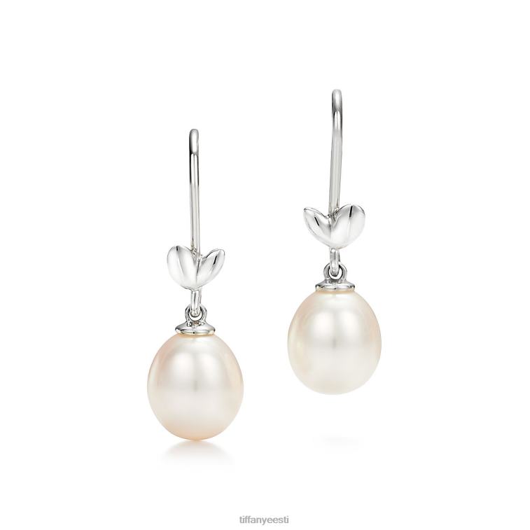 ehted unisex Tiffany FZP8X705 oliivilehe tilkkõrvarõngad