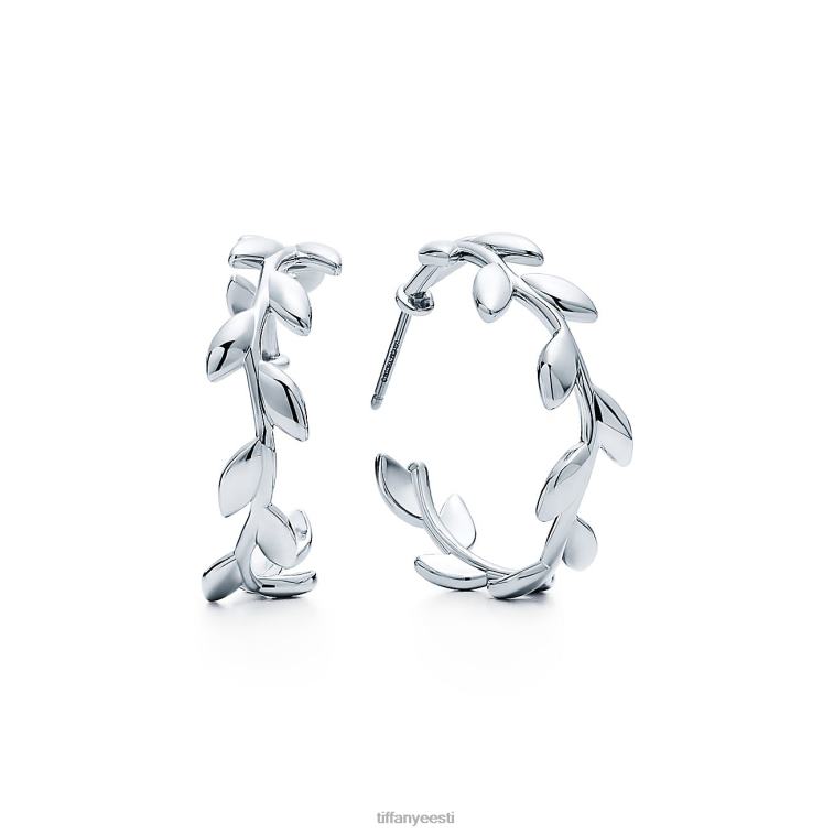 ehted unisex Tiffany FZP8X706 oliivilehtedest kõrvarõngad