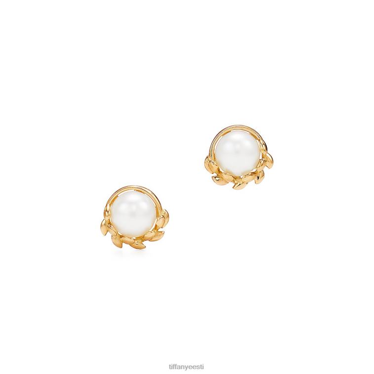 ehted unisex Tiffany FZP8X707 oliivilehtedest kõrvarõngad