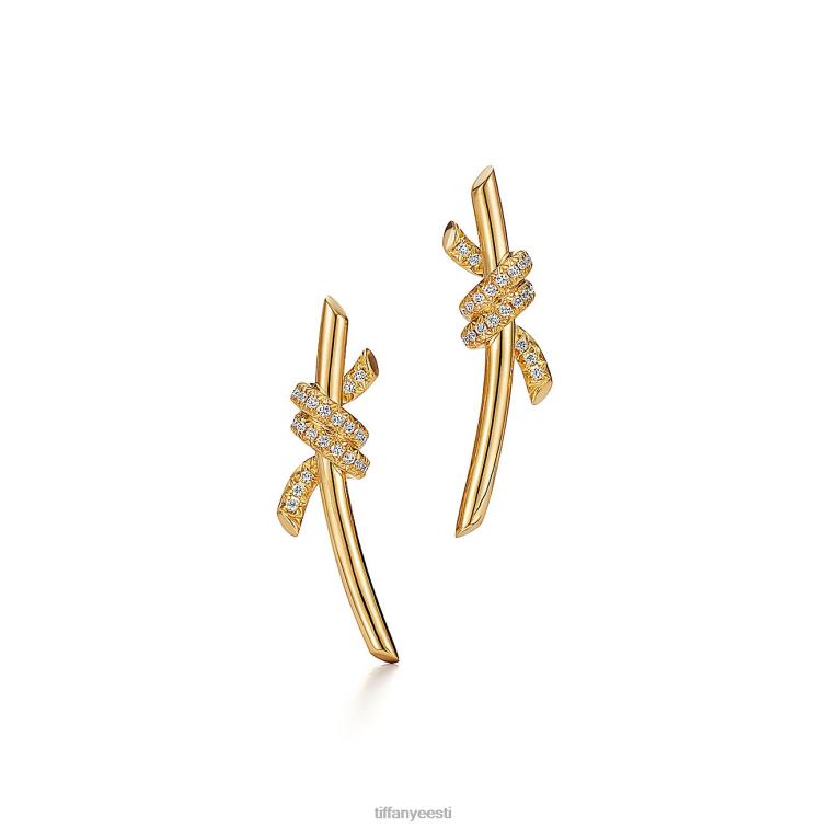 ehted unisex Tiffany FZP8X713 kõrvarõngad