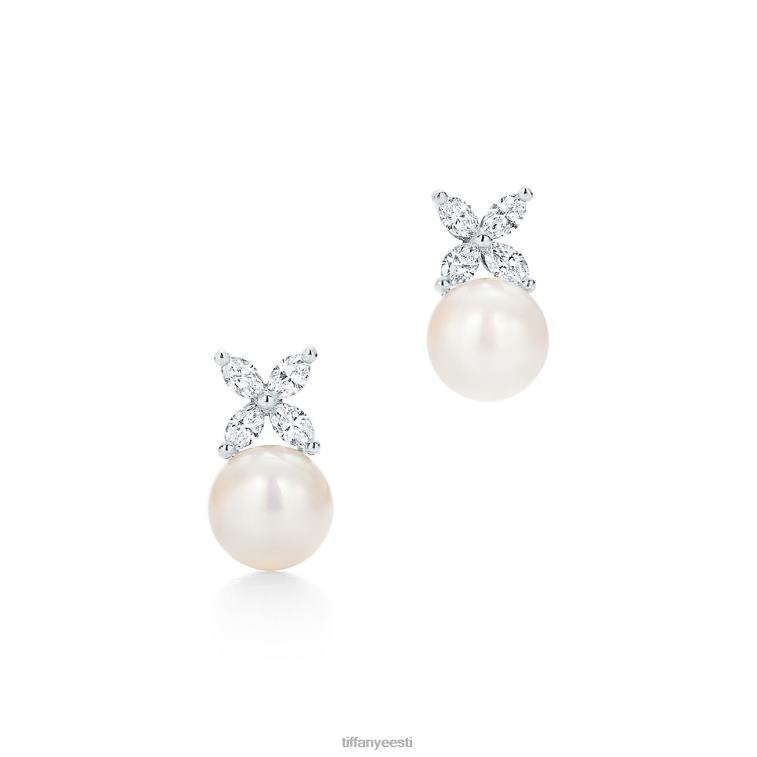 ehted unisex Tiffany FZP8X723 kõrvarõngad