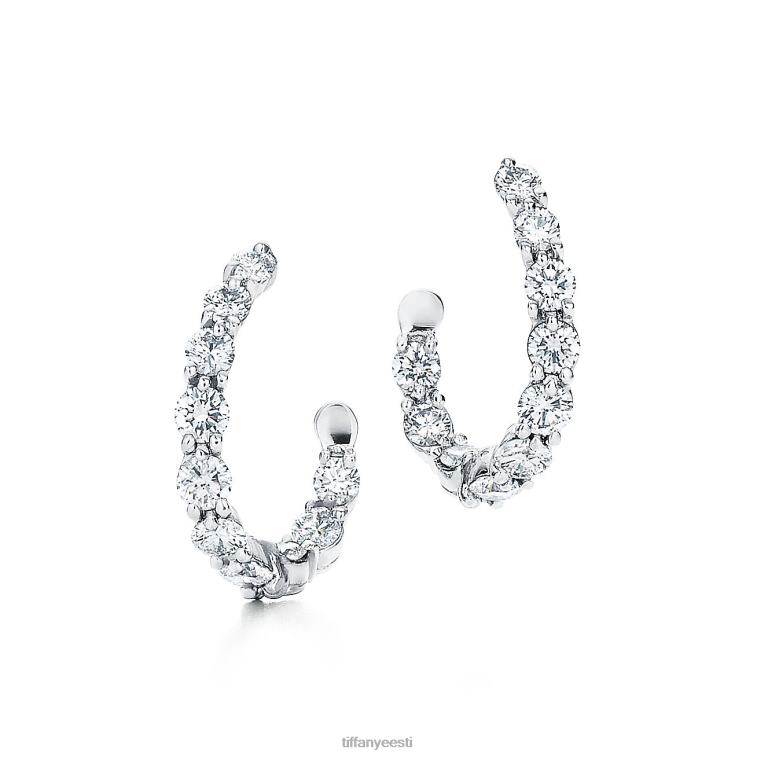 ehted unisex Tiffany FZP8X733 seest-välja kõrvarõngad