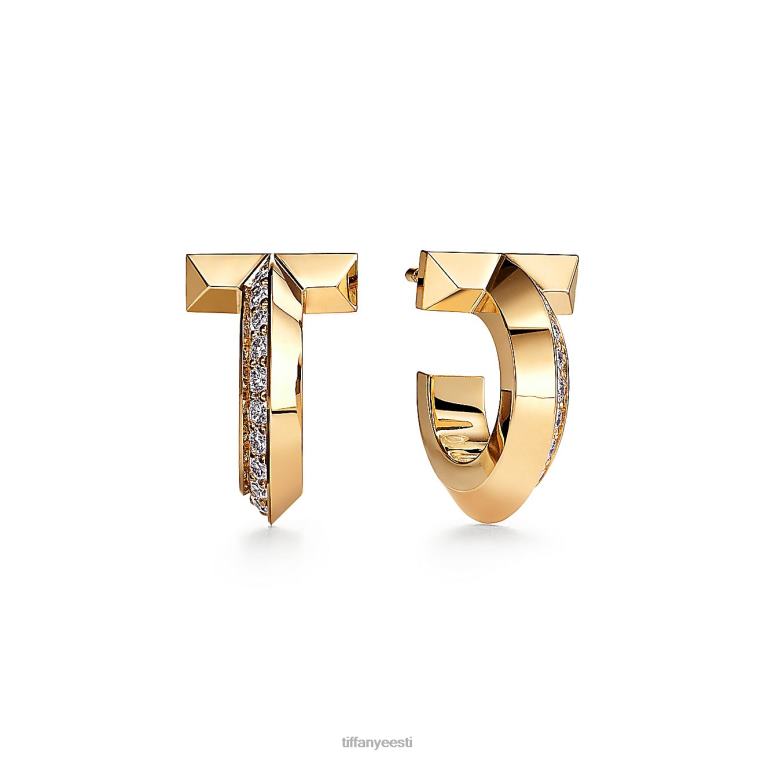 ehted unisex Tiffany FZP8X742 t1 rõngaga kõrvarõngad