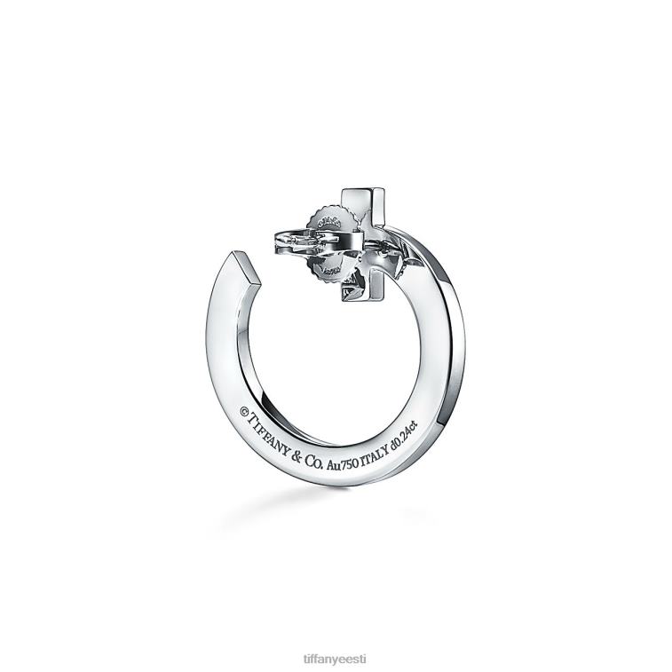 ehted unisex Tiffany FZP8X743 t1 avatud rõngaga kõrvarõngad