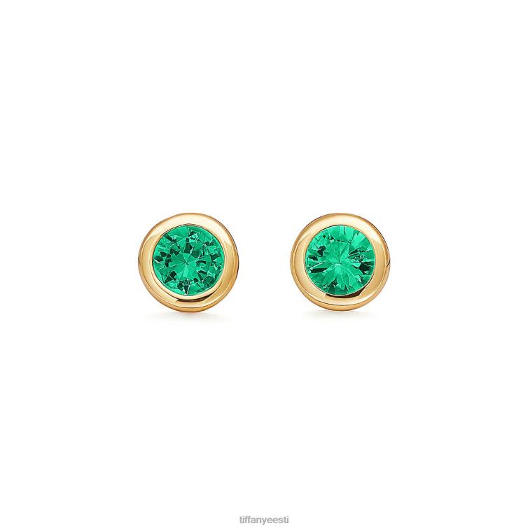 ehted unisex Tiffany FZP8X745 värvi õue kõrvarõngad