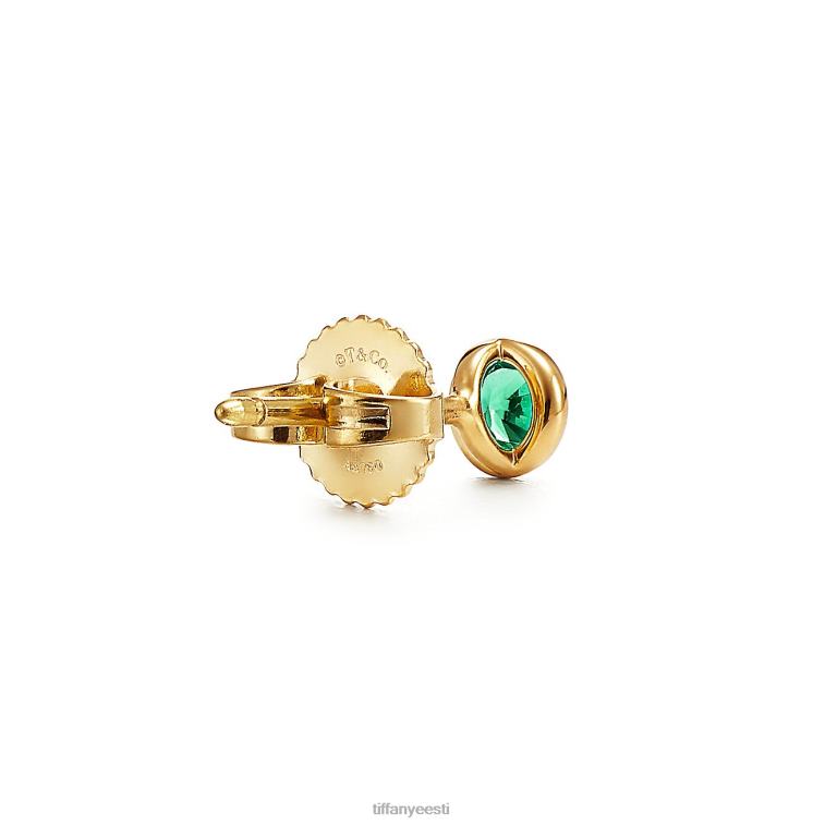 ehted unisex Tiffany FZP8X745 värvi õue kõrvarõngad