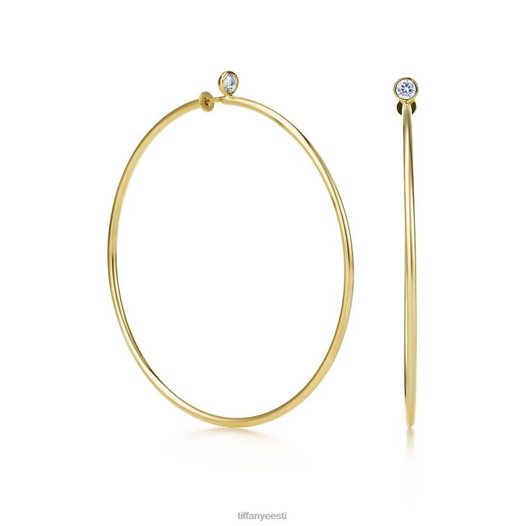 ehted unisex Tiffany FZP8X752 teemantrõngastega kõrvarõngad