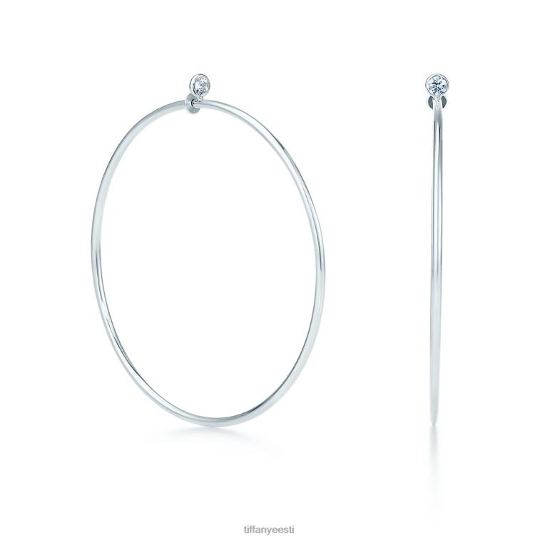 ehted unisex Tiffany FZP8X753 teemantrõngastega kõrvarõngad