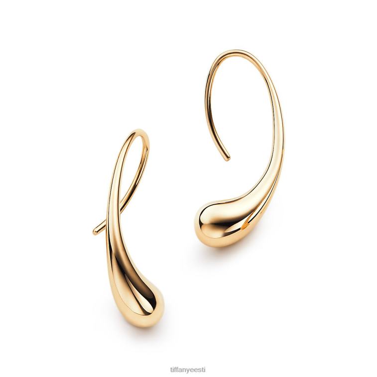 ehted unisex Tiffany FZP8X755 pisar kõrvarõngad