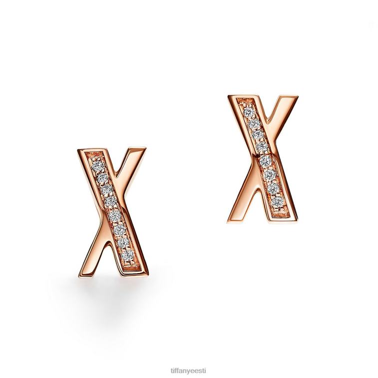 ehted unisex Tiffany FZP8X760 x kõrvarõngad