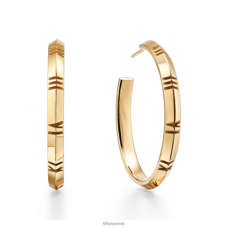 ehted unisex Tiffany FZP8X762 x rõngaga kõrvarõngad