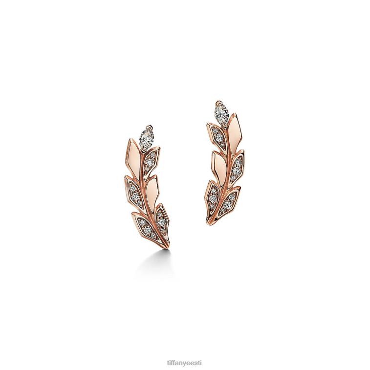 ehted unisex Tiffany FZP8X770 vine ronija kõrvarõngad