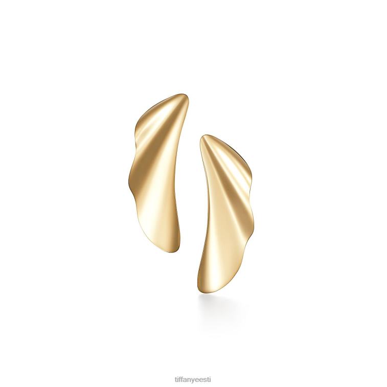 ehted unisex Tiffany FZP8X775 tõusulaine kõrvarõngad