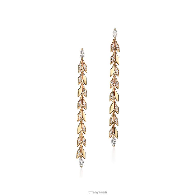 ehted unisex Tiffany FZP8X781 vine drop kõrvarõngad