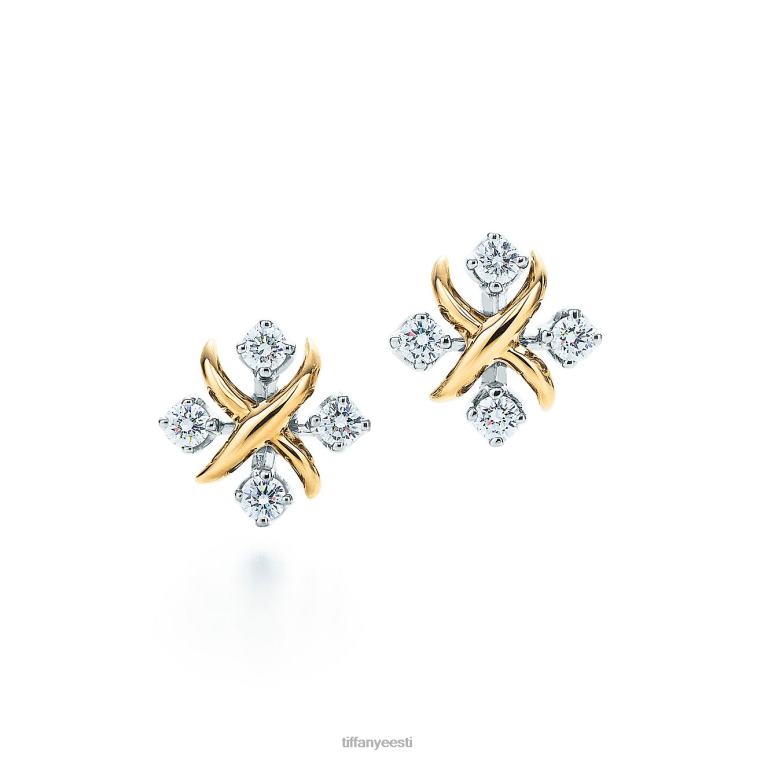 ehted unisex Tiffany FZP8X804 lynni kõrvarõngad