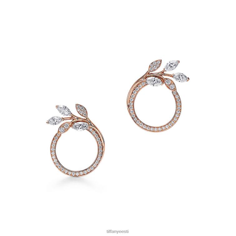 ehted unisex Tiffany FZP8X817 Teemantviinapuu ringid kõrvarõngad
