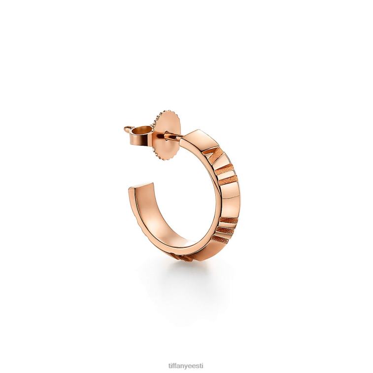 ehted unisex Tiffany FZP8X827 x rõngaga kõrvarõngad