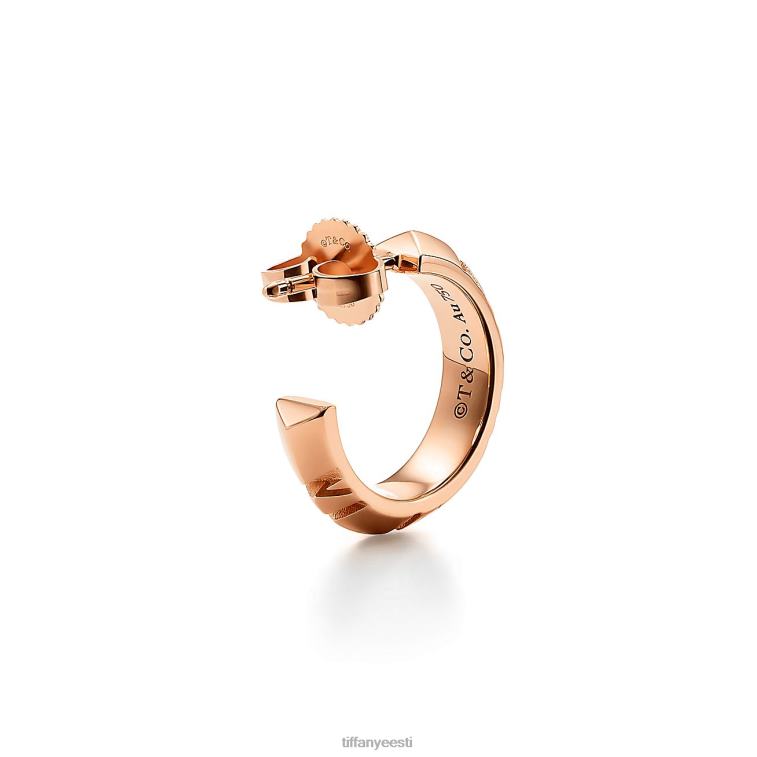 ehted unisex Tiffany FZP8X827 x rõngaga kõrvarõngad