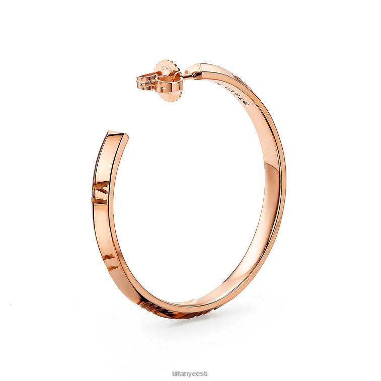 ehted unisex Tiffany FZP8X857 x rõngaga kõrvarõngad