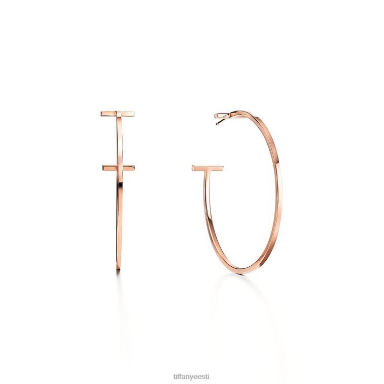 ehted unisex Tiffany FZP8X873 traatrõngastega kõrvarõngad