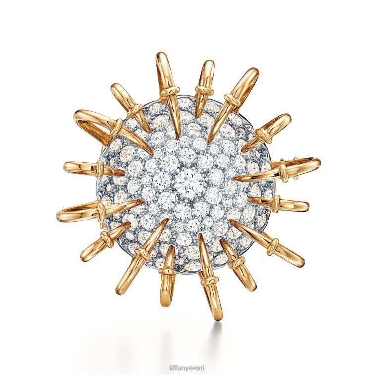 ehted unisex Tiffany FZP8X1981 apollo pross