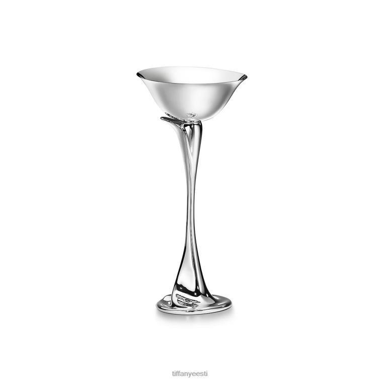 Kodu kaunistus unisex Tiffany FZP8X2242 šampanja tass