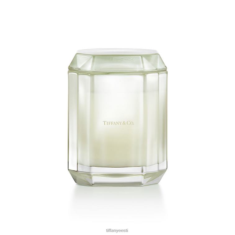 Kodu kaunistus unisex Tiffany FZP8X2250 küünla maja