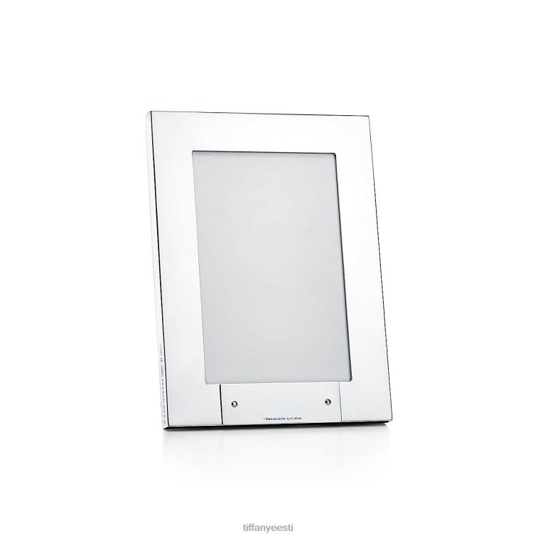 Kodu kaunistus unisex Tiffany FZP8X2695 tegijate raam